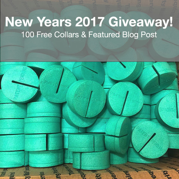 Enter to Win 100 Free PermaClone Collars!