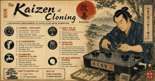 Japense influenced image of a man cloning with the steps outlined in the article articulated in the image.