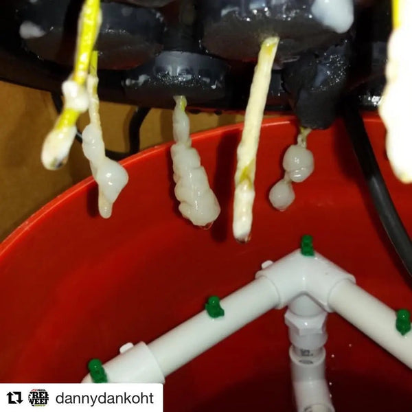 Hydoponics Water Quality and Water Treatment--A MUST READ!