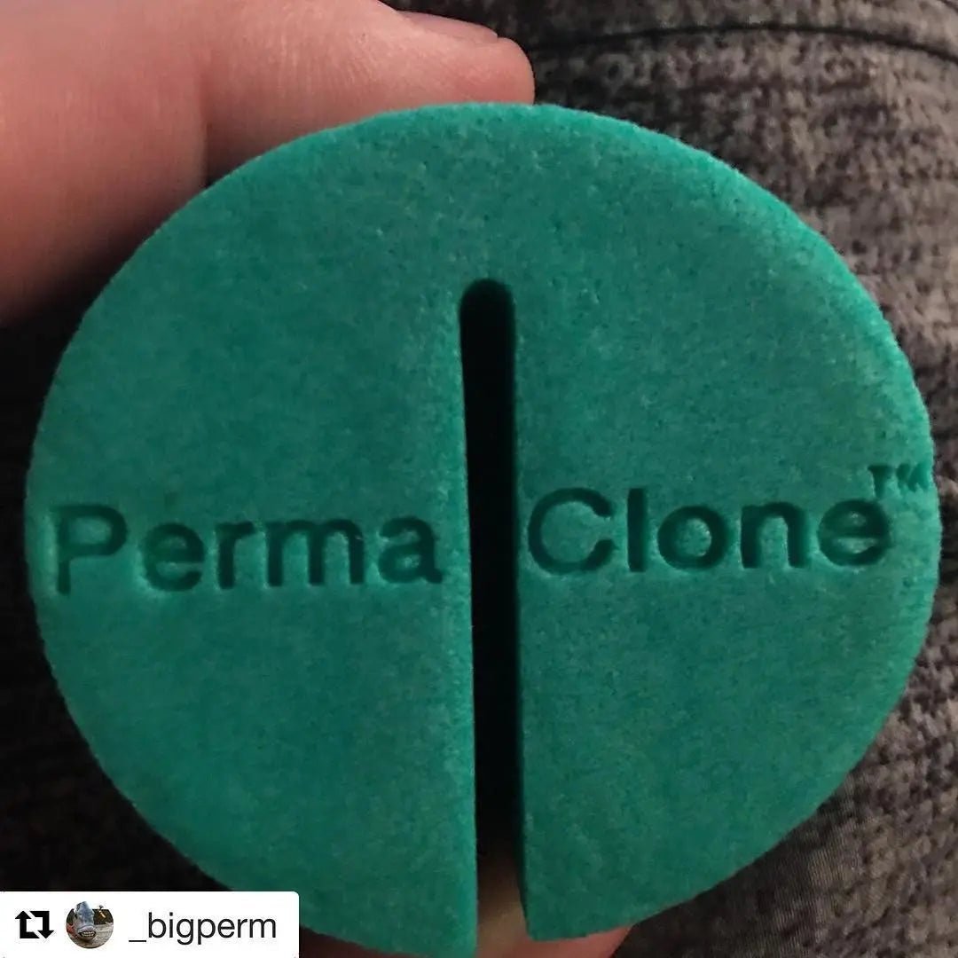 Improving Hydroponic Cloning Success, Efficiency & Ecology - PermaClone
