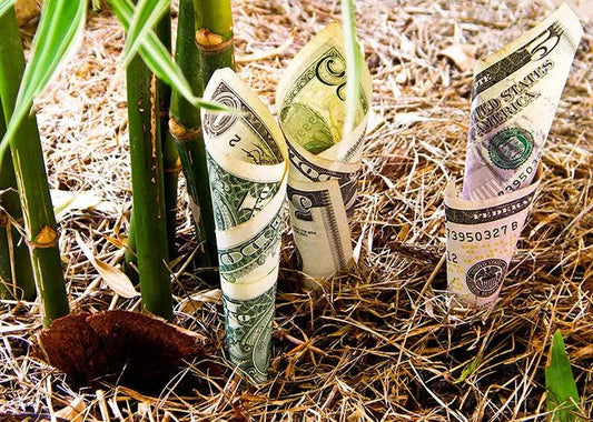 Why Reusable Beats Disposable: The Economics Behind PermaClone - PermaClone