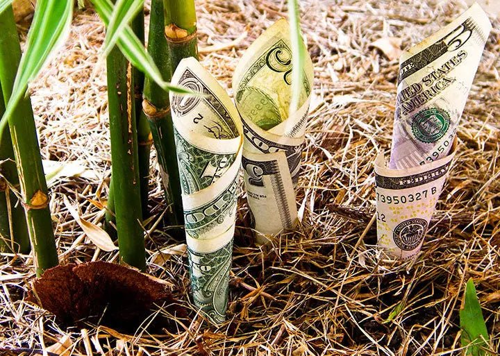 Why Reusable Beats Disposable: The Economics Behind PermaClone