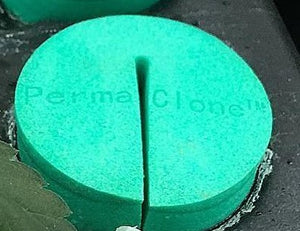 PermaClone™ 48mm/1.9" Cloning Collars - SIZES FOR ALL LEADING BRANDS