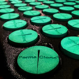 PermaClone™ 46mm/1.75" Cloning Collars - SIZES FOR ALL LEADING BRANDS