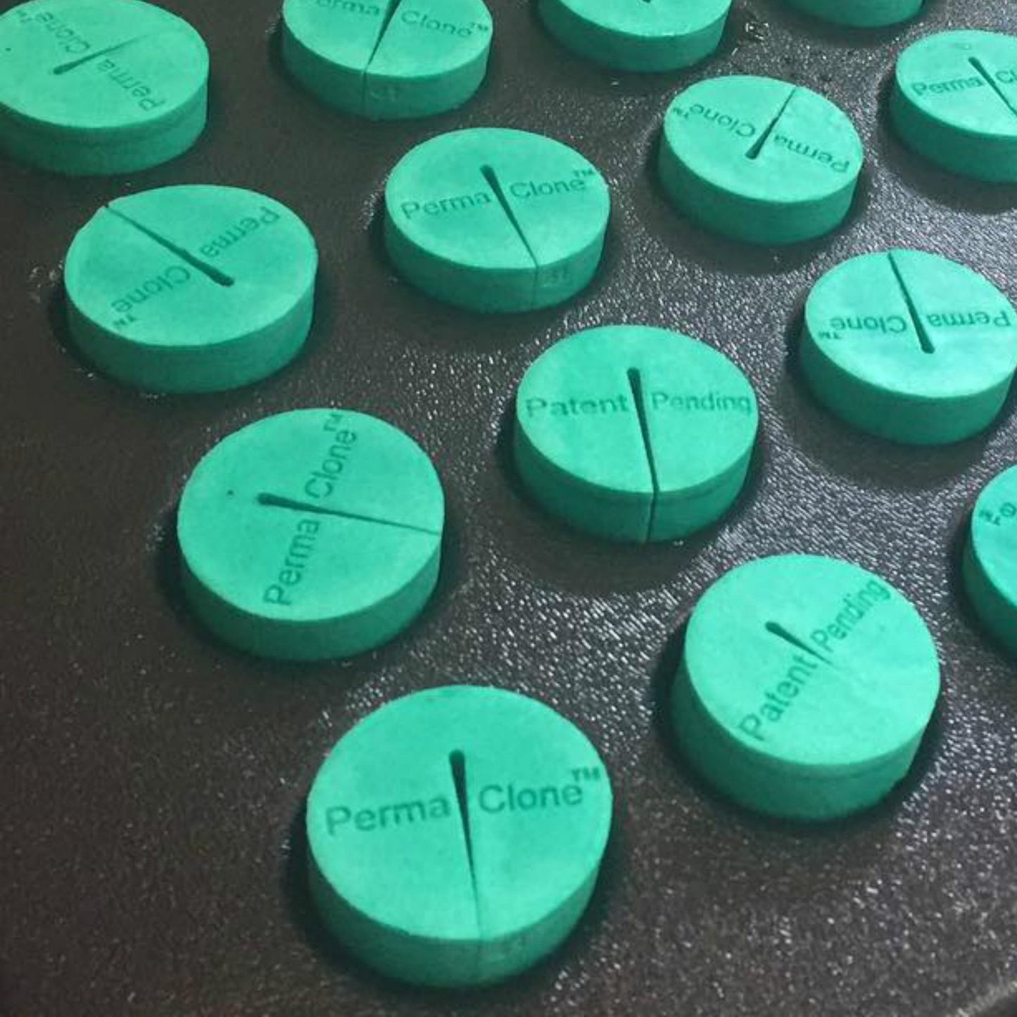 PermaClone™ 41mm/1.625" Cloning Collars - Fit the Botanicare® 25, 45, 77, & 180 site Power Cloner® systems AND the Clone King's® 36 and 64 Site Systems - PermaClone
