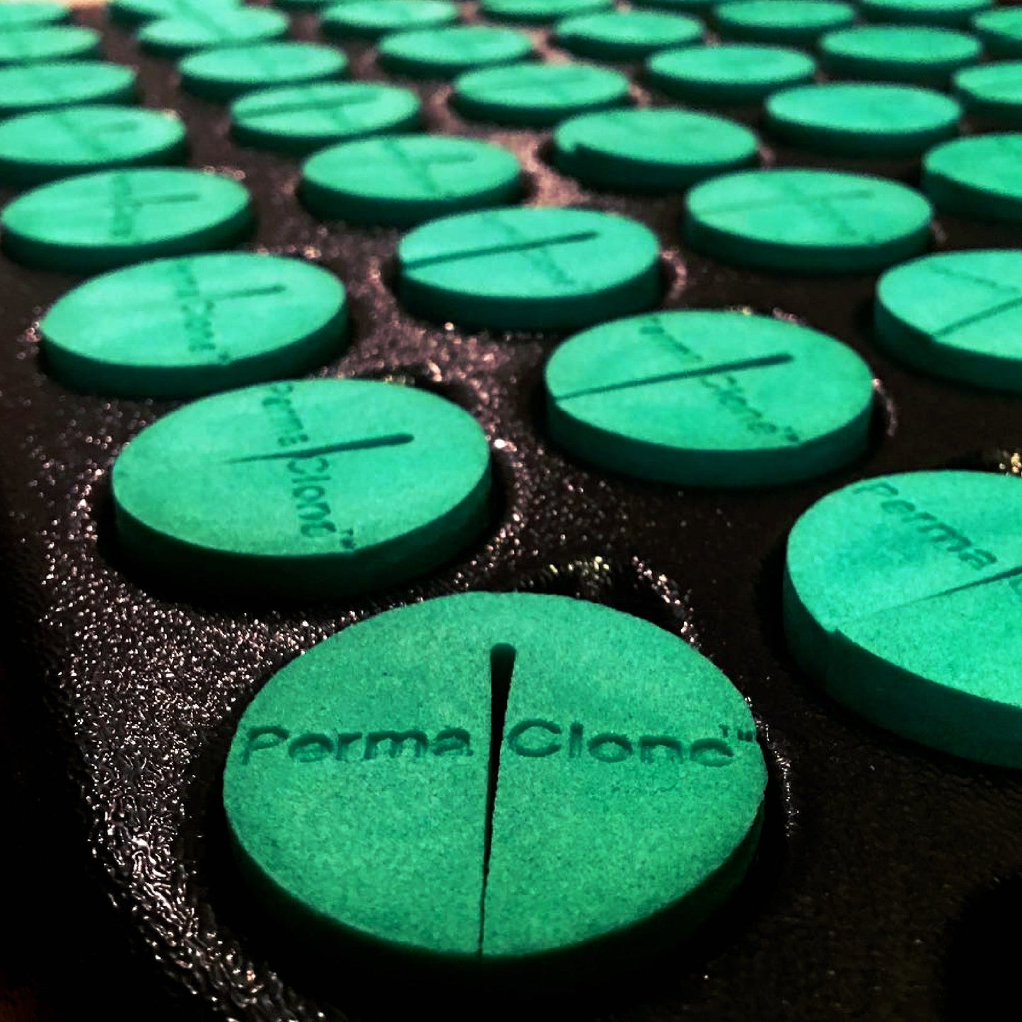 PermaClone™ 46mm/1.75" Cloning Collars - Fits TurboKlone®, Oxyclone®, Clone King®, Whole Plant Tech, and many 2" net pots used in DIY cloning systems - PermaClone
