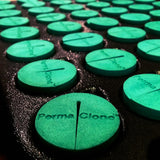 PermaClone™ 46mm/1.75" Cloning Collars - Fits TurboKlone®, Oxyclone®, Clone King®, Whole Plant Tech, and many 2" net pots used in DIY cloning systems - PermaClone