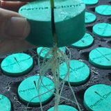 PermaClone™ 46mm/1.75" Cloning Collars - Fits TurboKlone®, Oxyclone®, Clone King®, Whole Plant Tech, and many 2" net pots used in DIY cloning systems - PermaClone