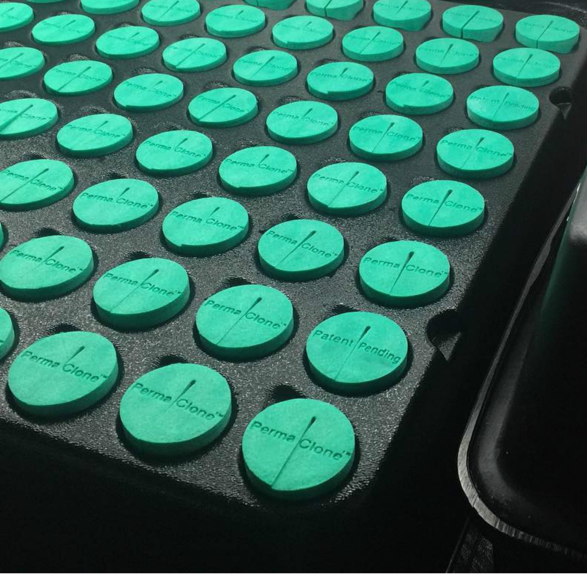 PermaClone™ 46mm/1.75" Cloning Collars - Fits TurboKlone®, Oxyclone®, Clone King®, Whole Plant Tech, and many 2" net pots used in DIY cloning systems - PermaClone