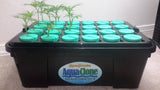 PermaClone™ 48mm/1.9" Cloning Collars fill an AquaClone System with a few cuttings placed.