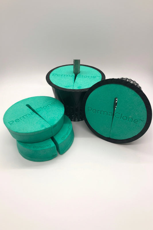 PermaClone™ 88mm Plant Collar (3.5” x 3.75", 88mm) - PermaClone